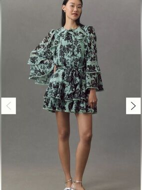 Anthropologie BHLDN Camila Long-Sleeve Chiffon Mini Dress